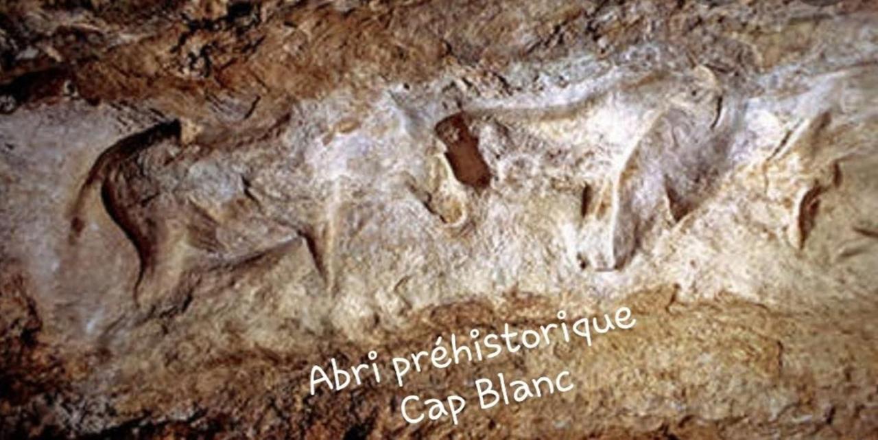 Chateau De L Herm, Lascaux, Sarlat, En Perigord Noir Villa Rouffignac Saint-Cernin Bagian luar foto